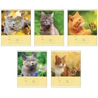 Канц-Эксмо Тетрадь "Коты на природе", А5, 12 листов, линия