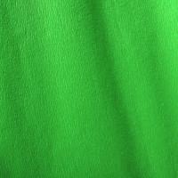 Canson Бумага крепированная в рулоне, 50x250 cм, 140 %, 48 г/м2, ярко-зеленая