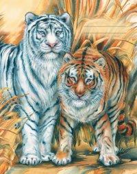 Канц-Эксмо Дневник для средних и старших классов "Aquarell. Два тигра", 48 листов