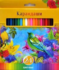 BG (Би Джи) Карандаши цветные "Солнечный креатив", 24 цветов