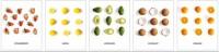 Академия Холдинг Тетрадь "Сочные фрукты", А5, 96 листов, клетка