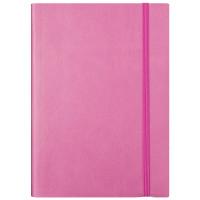 Index Ежедневник датированный на 2019 год "Spectrum", А5, 168 листов, линия, цвет обложки розовый