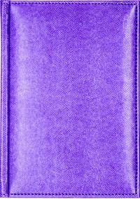 КТС-про Ежедневник недатированный "Diario", А5, 160 листов, фиолетовый