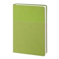 InFolio Ежедневник недатированный "Patchwork", А5, 160 листов, зеленый