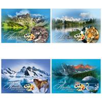 Проф-Пресс Альбом для рисования "Природа и животные", 20 листов, А4, на скрепке