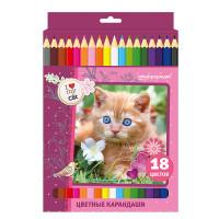 School Карандаши цветные "Милые котята", шестигранные, 18 цветов