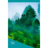 Канц-Эксмо Еженедельник недатированный "Туманный лес", А5, 72 листа