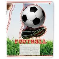 Альт Тетради "Футбол - моя игра", А5, 24 листа, линия, 10 штук (количество товаров в комплекте: 10)