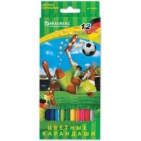 BRAUBERG Карандаши цветные "Football match", 12 цветов, заточенные