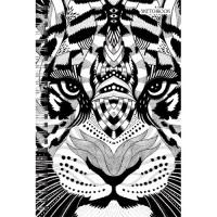Канц-Эксмо Скетчбук "Графика (хищник)", А5, 100 листов