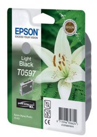 Epson C13T05974010 Gray