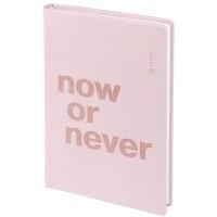 InFolio Ежедневник недатированный "Now", 96 листов, розовый