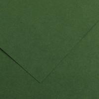 Canson Бумага цветная "Iris Vivaldi. №31", 50x65 см, 240 г/м2, зеленый еловый