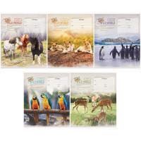 OfficeSpace Комплект тетрадей "Животные. Wild world card", 18 листов, клетка (20 тетрадей в комплекте) (количество товаров в комплекте: 20)