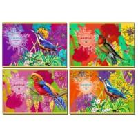 BG (Би Джи) Альбом для рисования "Paradise bird", А4, 16 листов