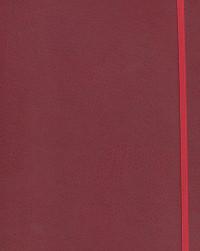 Феникс + Ежедневник недатированный Escalada "Agenda Class", 192x255 мм, 96 листов