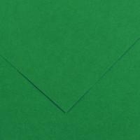 Canson Бумага цветная "Iris Vivaldi. №30", 50x65 см, 240 г/м2, зеленый мох