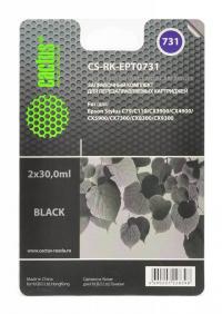 Cactus Заправка для ПЗК CS-RK-EPT0731 черный (2x30мл)