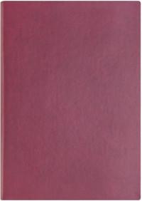Index Ежедневник недатированный "Spectrum", А5, линия, 128 листов, цвет обложки бордовый