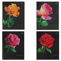Хатбер-пресс Тетрадь "Roses on black", А5, 96 листов, клетка (T263464)