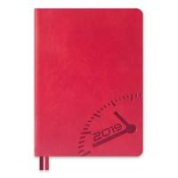 Феникс + Ежедневник датированный на 2019 год "Буйвол. Красный", А6+, 176 листов