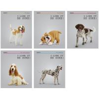 OfficeSpace Тетрадь "Питомцы. Dogs. I like it!", 96 листов, А5, клетка
