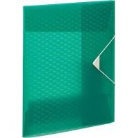 Esselte Папка на резинках "Colour'Ice", А4, 2 мм, зеленая