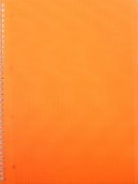 Hatber Тетрадь "Diamond Neon", А4, 80 листов, клетка, оранжевая