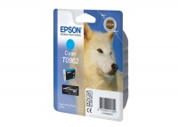 Epson T096 2 Cyan Ink Cartridge