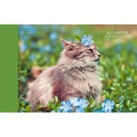 Канц-Эксмо Альбом для рисования "Весенний кот", 20 листов