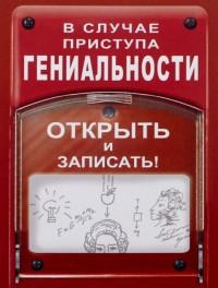 Бюро находок Блокнот "В случае приступа гениальности", А6, 50 листов, без линовки