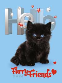 Plano (канцтовары) Престиж-блокнот "Домашние питомцы: Черный котенок", А6, 80 листов, клетка