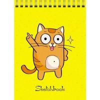 Paper Art Скетчбук "Веселый котик", А6+, 40 листов