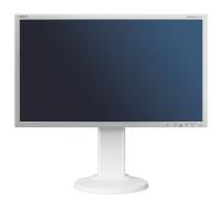 NEC Multisync E201W