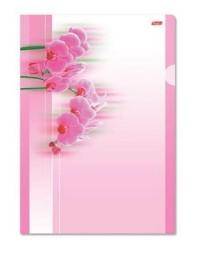 Hatber Папка-уголок "Розовая орхидея", А4, 180 мкм