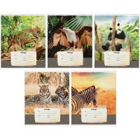 OfficeSpace Тетрадь "Природа. Wild animals", А5, 12 листов, косая линия