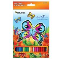 BRAUBERG Карандаши цветные &quot;Wonderful butterfly&quot;, 18 цветов, заточенные