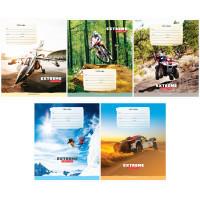 OfficeSpace Комплект тетрадей "Спорт. Extreme lifestyle", 12 листов, линия (20 тетрадей в комплекте) (количество товаров в комплекте: 20)