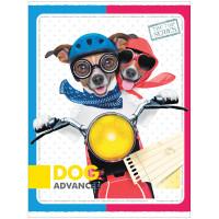 OfficeSpace Бизнес-блокнот "Забавные собаки", А6, 120 листов