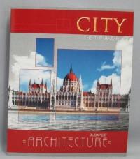 АппликА Тетрадь "Красивый город Будапешт", А5, 96 листов, линия