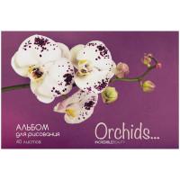 OfficeSpace Альбом для рисования "Цветы. Орхидеи", 40 листов, А4, на скрепке