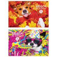 Artspace Альбом для рисования "Питомцы. Funny dogs", А4, 12 листов