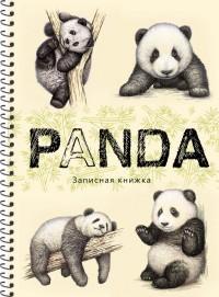 Проф-Пресс Записная книжка на спирали "Нарисованные панды", А5, 80 листов