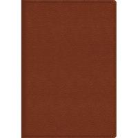 Канц-Эксмо Ежедневник полудатированный "Zodiac", А5, 192 листа, коричневый
