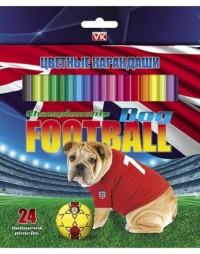 Hatber Карандаши цветные &quot;Собаки-футболисты&quot;, 24 цвета