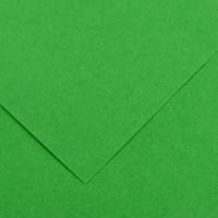 Canson Бумага цветная "Iris Vivaldi. №29", 50x65 см, 240 г/м2, ярко-зеленый