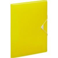 Esselte Папка-органайзер "Colour'Ice", А4, 6 отделений, желтая