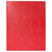 Hatber Тетрадь "Metallic. Красная", А5, 96 листов, клетка
