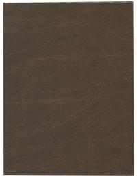 Проф-Пресс Ежедневник недатированный "Светло-коричневый", А6, 160 листов