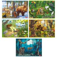 Hatber Альбом для рисования "В сказочном лесу", А4, 20 листов